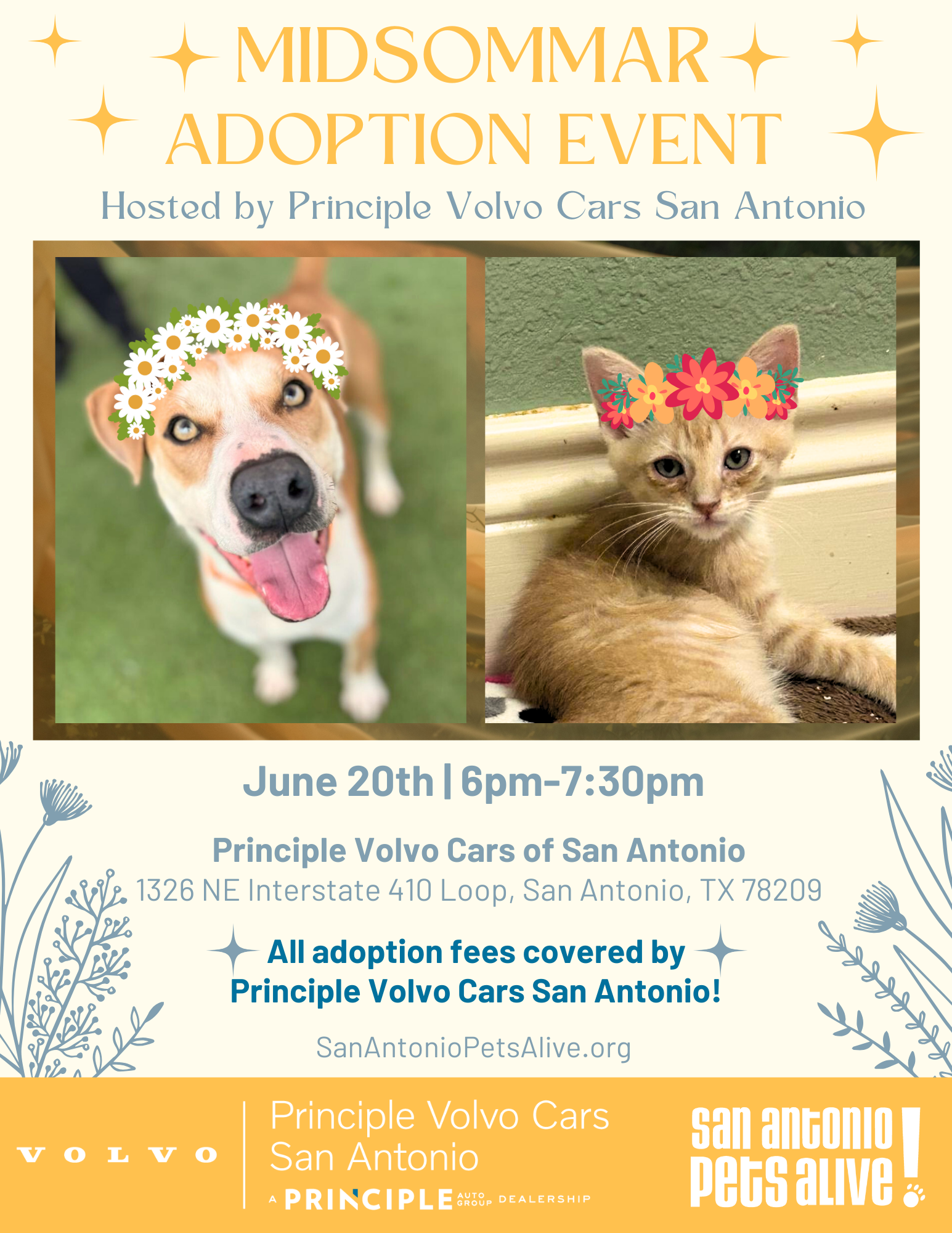 Midsommar Adoption Event - Principle Volvo Cars of San Antonio